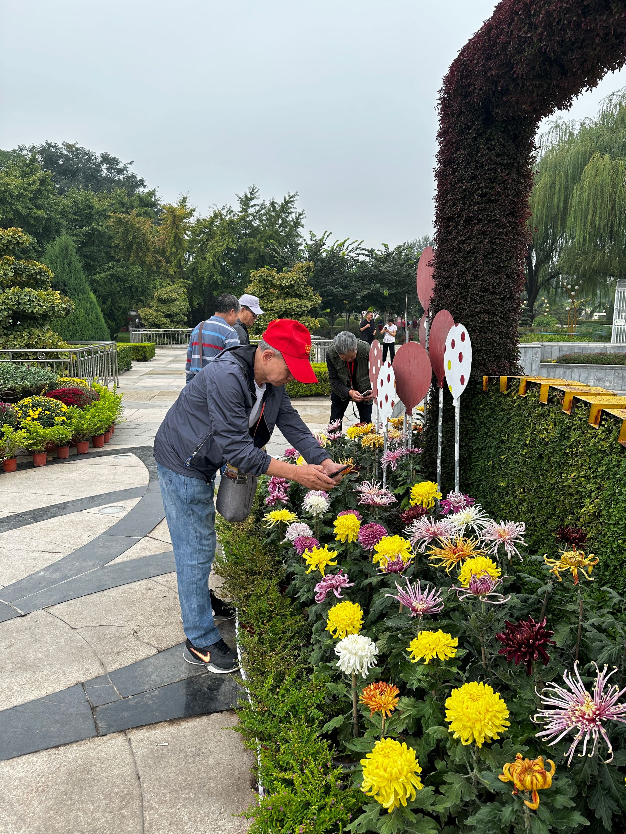 william威廉中文官网