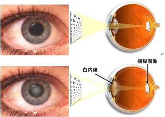 william威廉中文官网