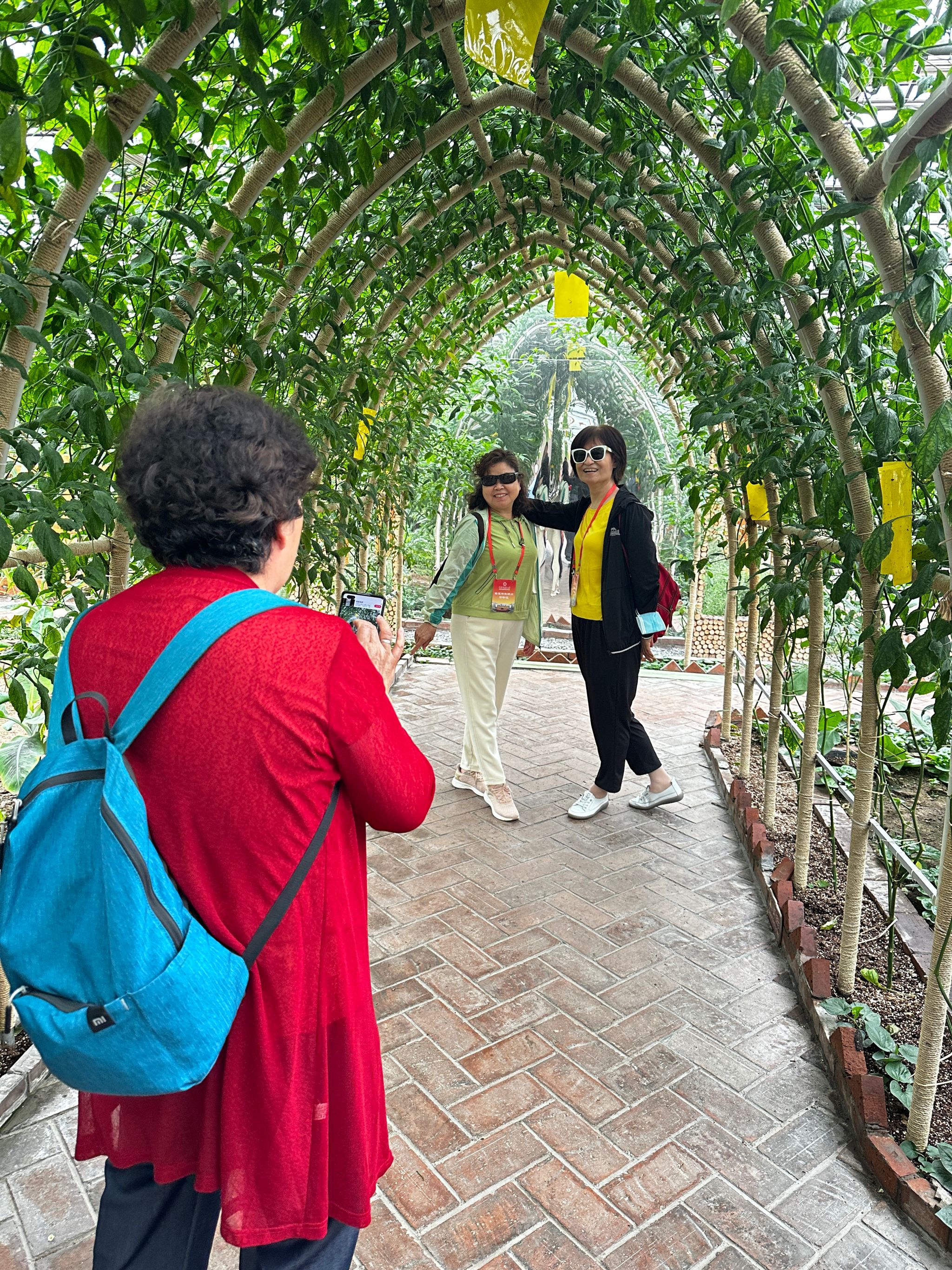 william威廉中文官网