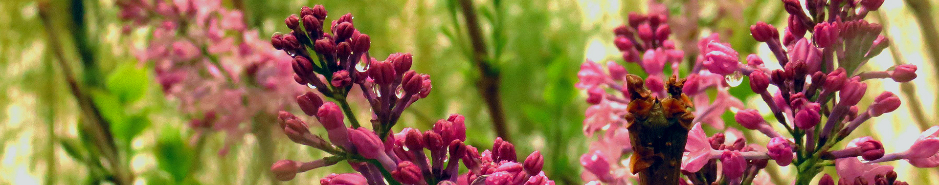 william威廉中文官网